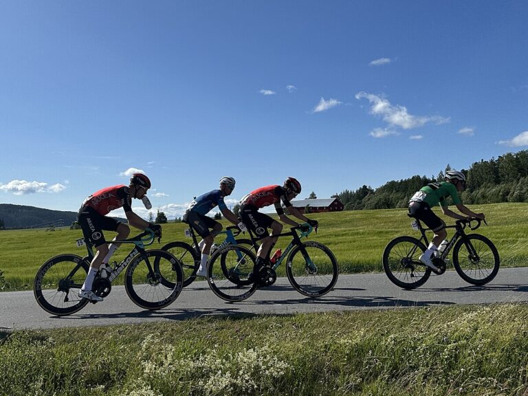 Toralf Rydningen Martinsen